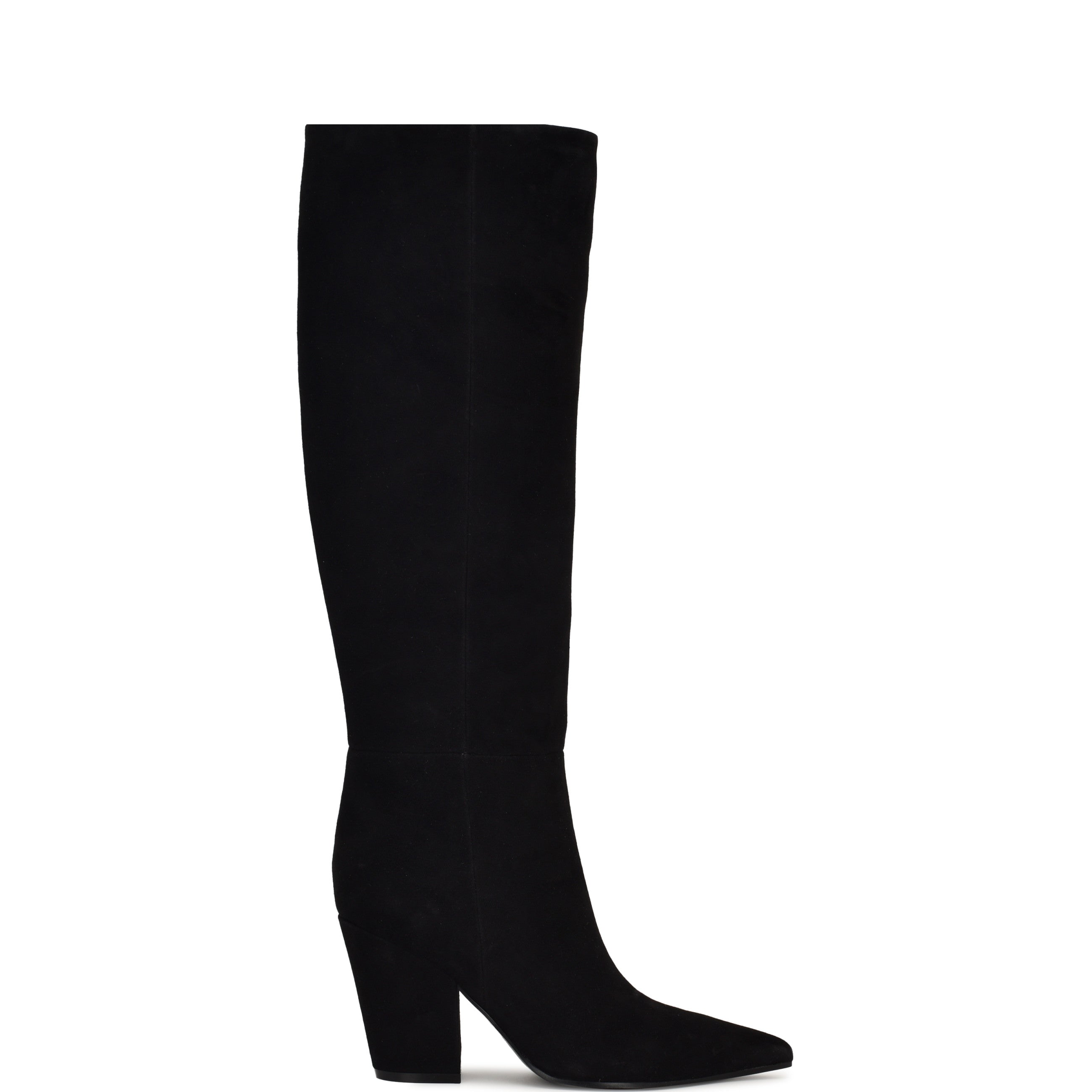 Adera Pointy Toe Tall Shaft Dress Boots