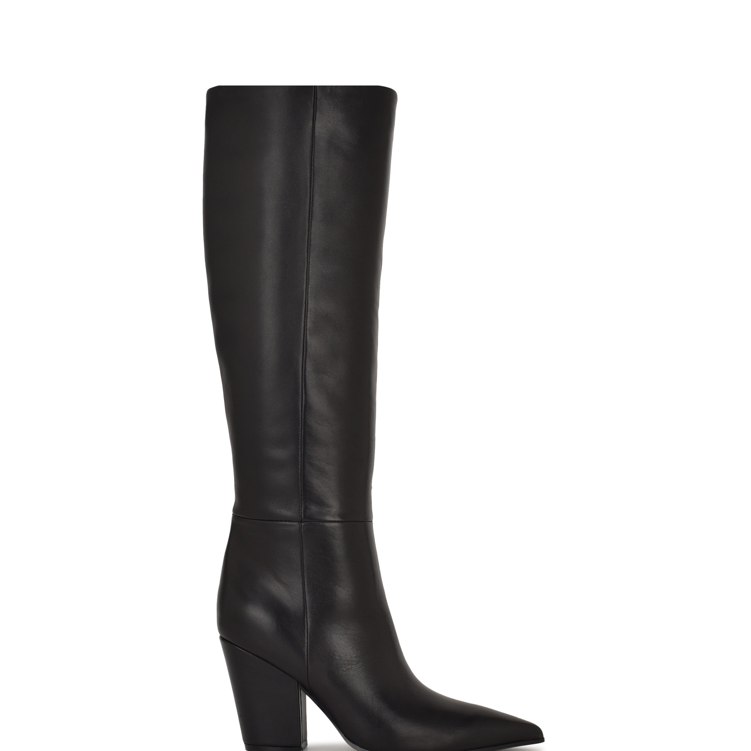 Adera Pointy Toe Tall Shaft Dress Boots